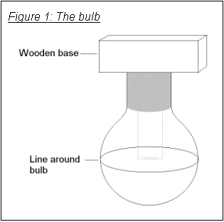 Text Box: Figure 1: The bulb
 
