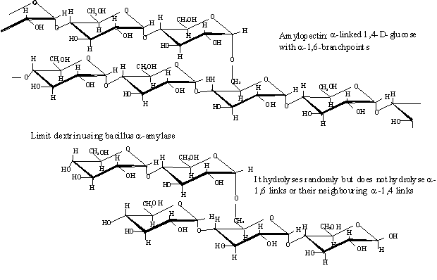 Enzyme assay protocol for amylase