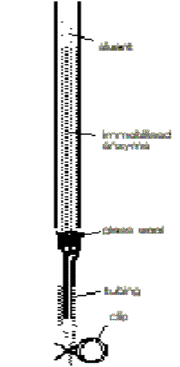 Immobilised enzyme column