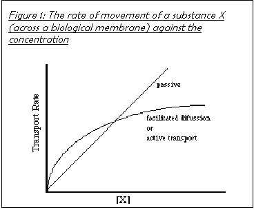 Text Box: Figure 2: The rate of movement of a substance X (across a biological membrane) against the concentration
 
